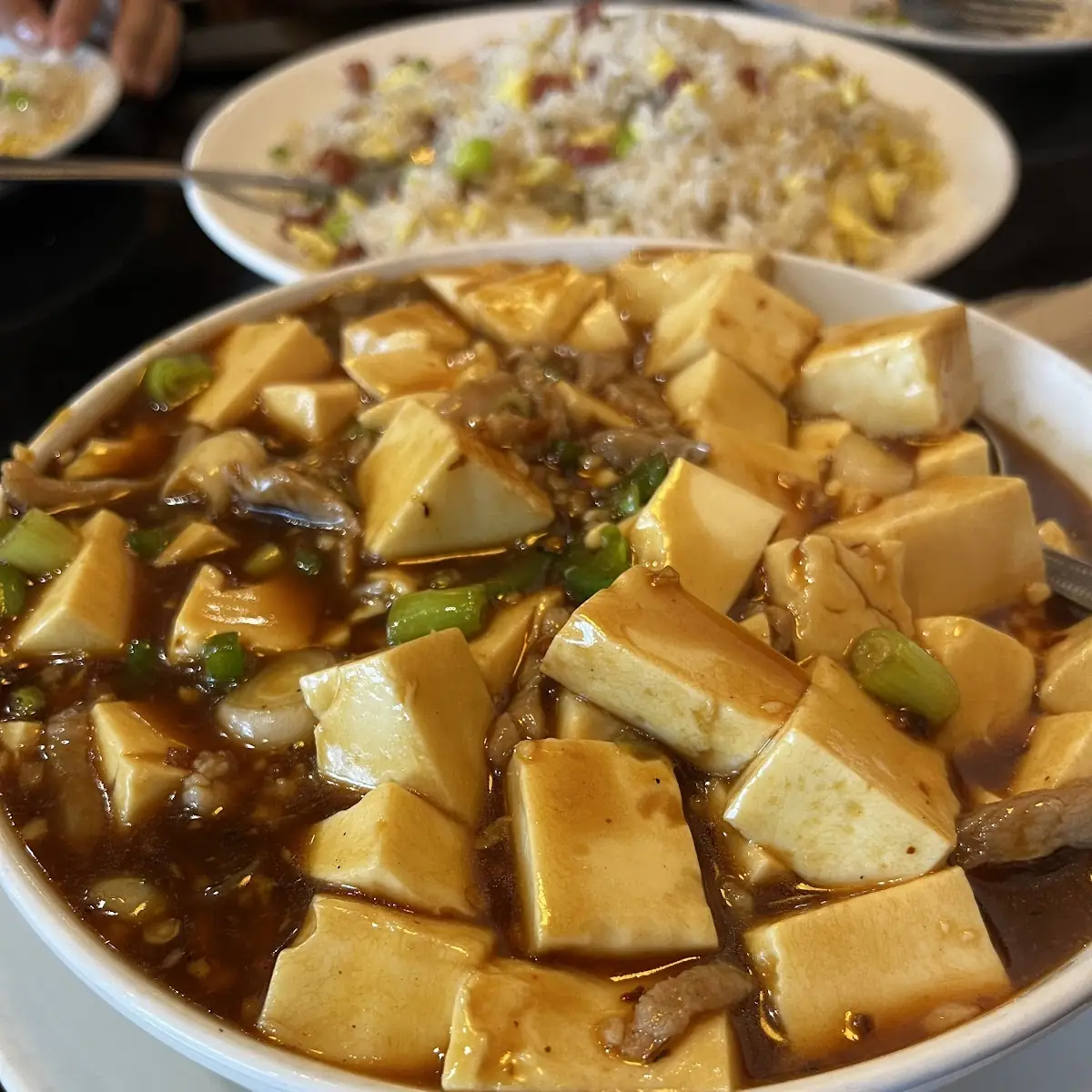 vegetarian mapo tofu 素菇麻婆豆腐